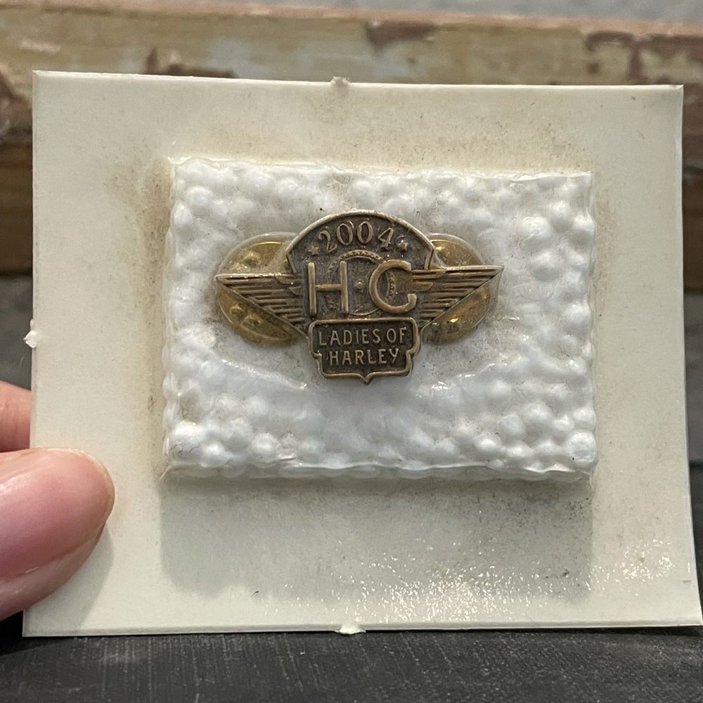 New Harley-Davidson pin